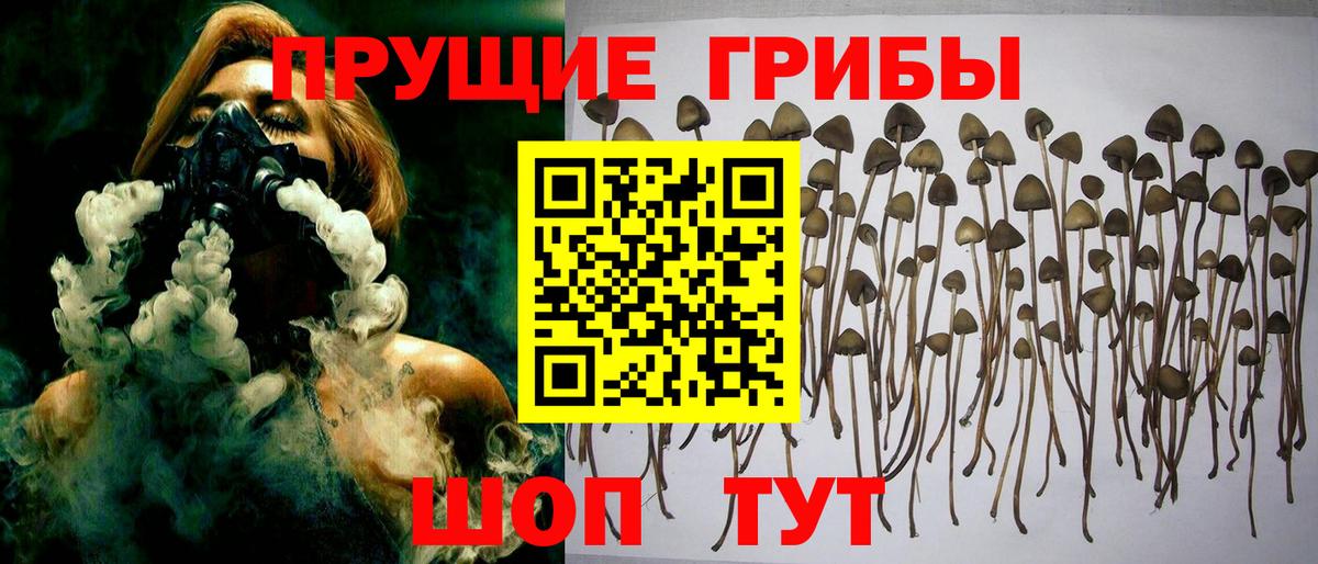 Галлюциногенные грибы ЛСД  Вход с VPN  Горно-Алтайск 